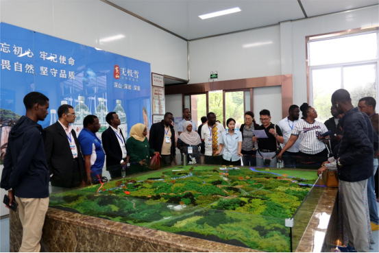 1719623817250533.png image.png